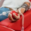 Torrejón organiza el Maratón de Donación de Sangre bajo el lema 'Gotas de sangre. Litros de vida'