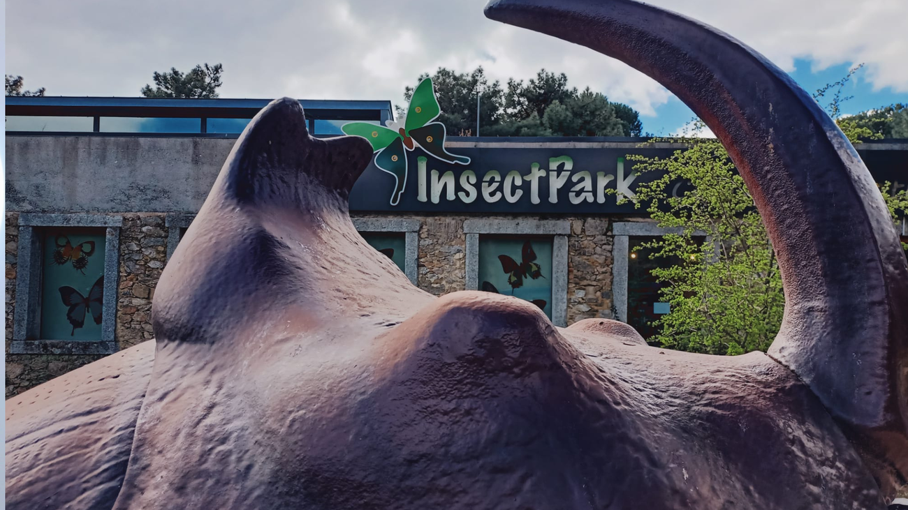 InsectPark, un museo de insectos y arácnidos con ejemplares vivos en San Lorenzo de El Escorial