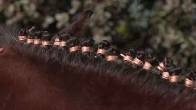 Caballos y jinetes se visten para disfrutar de la feria el caballo en Colmenarejo