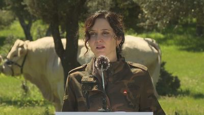 Ayuso pide al Gobierno que active el Plan 3 de Emergencias para que el Ejército intervenga