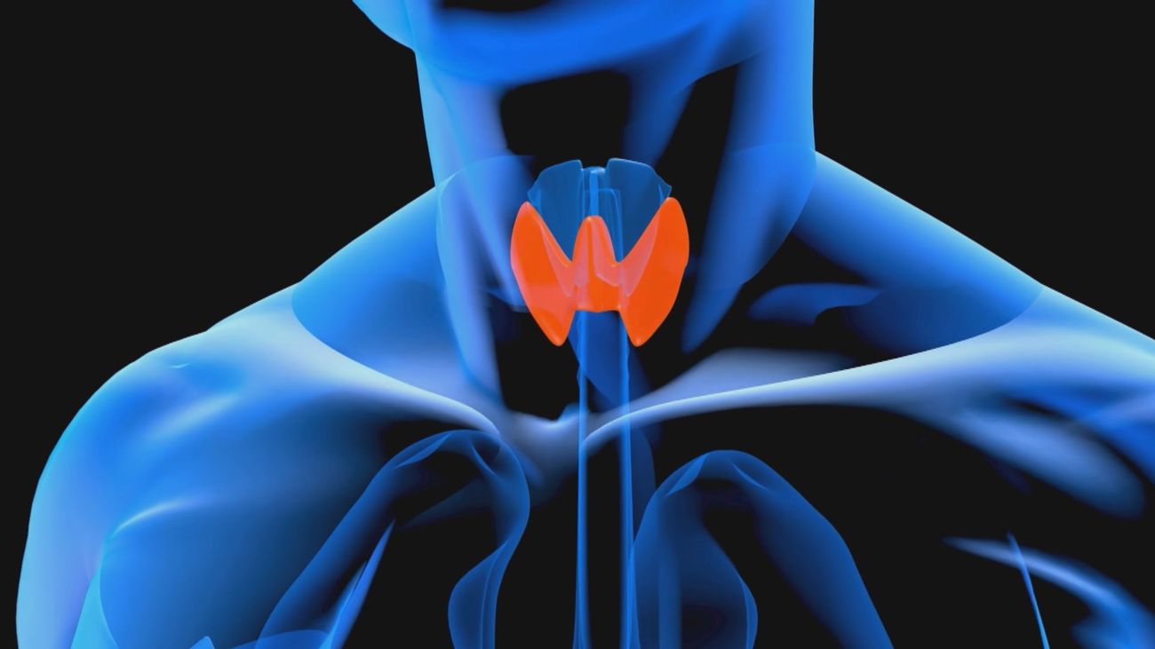 La importancia de la alimentación en el cuidado de la tiroides