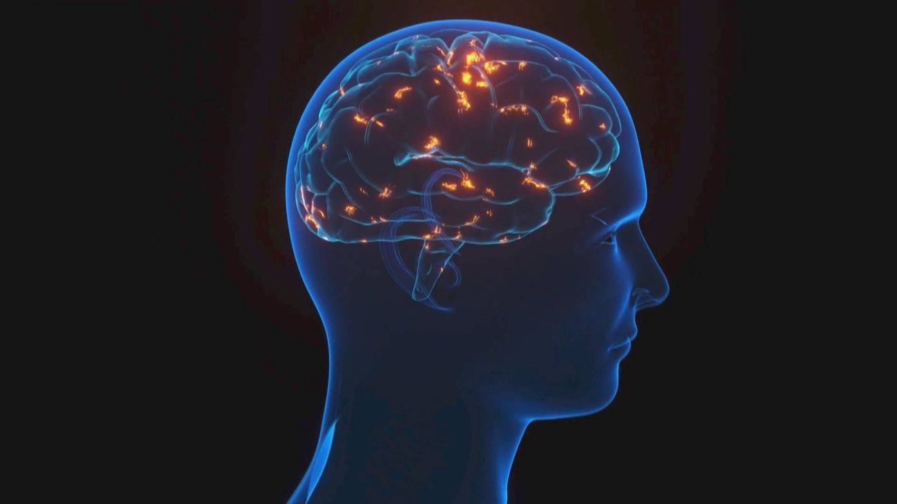 Neurociencia y emociones: lo que el cerebro nos dice sobre cómo vivir mejor