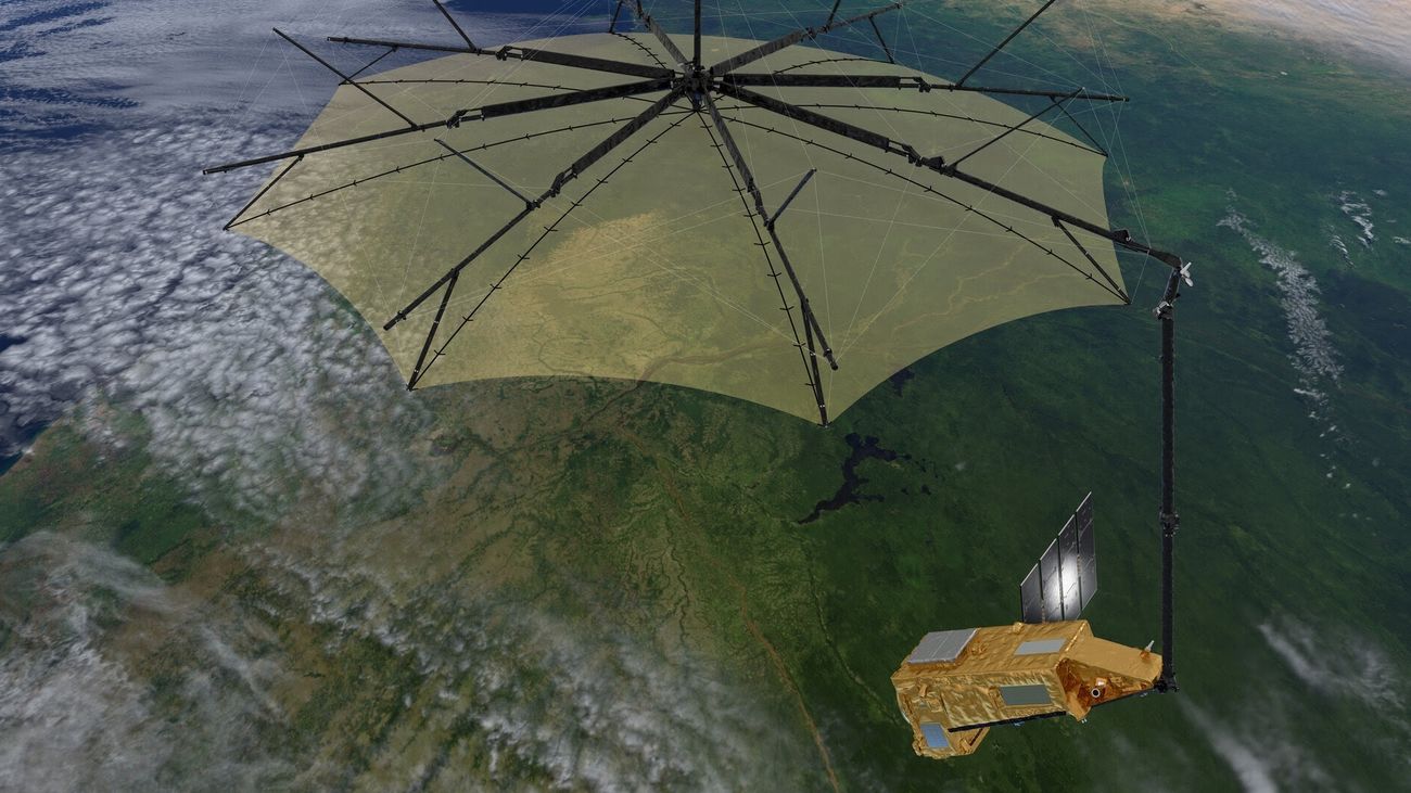 Europa lanza un satélite para estudiar el estado de los bosques de la Tierra