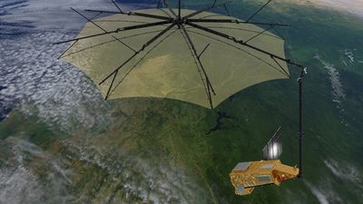 Europa lanza un satélite para estudiar el estado de los bosques de la Tierra