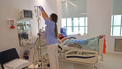 Madrid lideró los trasplantes de médula ósea en 2024, con 722 operaciones