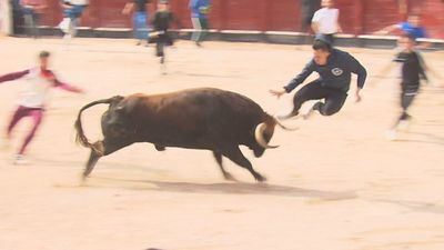 Momento de tensión con un recortador en Colmenar de Oreja