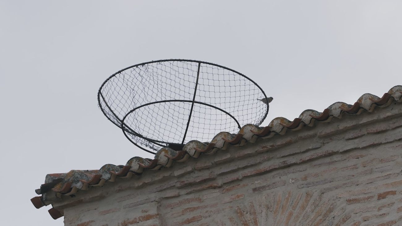 Redueña: el pueblo donde más cigüeñas hay aunque no anide ninguna