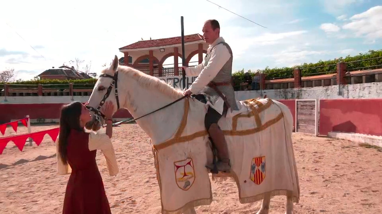 Los caballos destreros: fundamentales en las luchas de la Edad Media