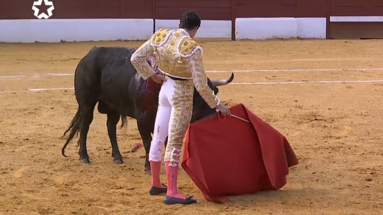 Crespo, Montero y Molina, a hombros ante la bravura de Baltasar Ibán y Manuel Sanz en Valdemoro