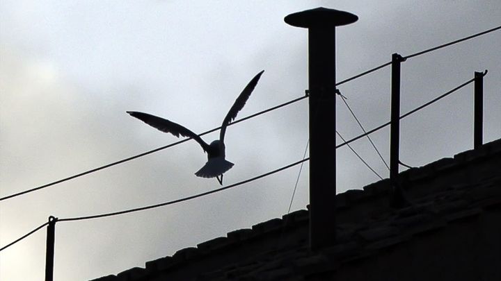 Chimenea sobre la capilla Sixtina / Europa Press