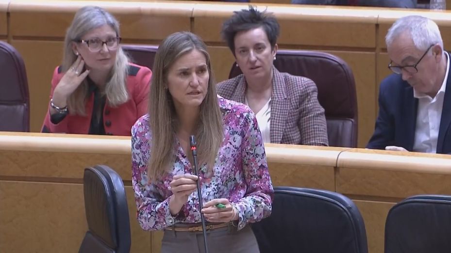 El Senado reprueba a Aagesen  por su "nula" gestión del 'apagón'