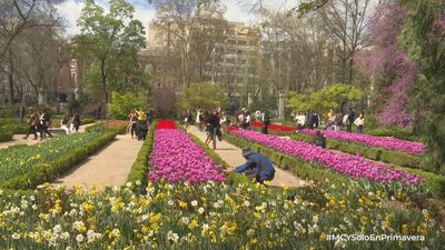 Mi cámara y yo: Solo en primavera