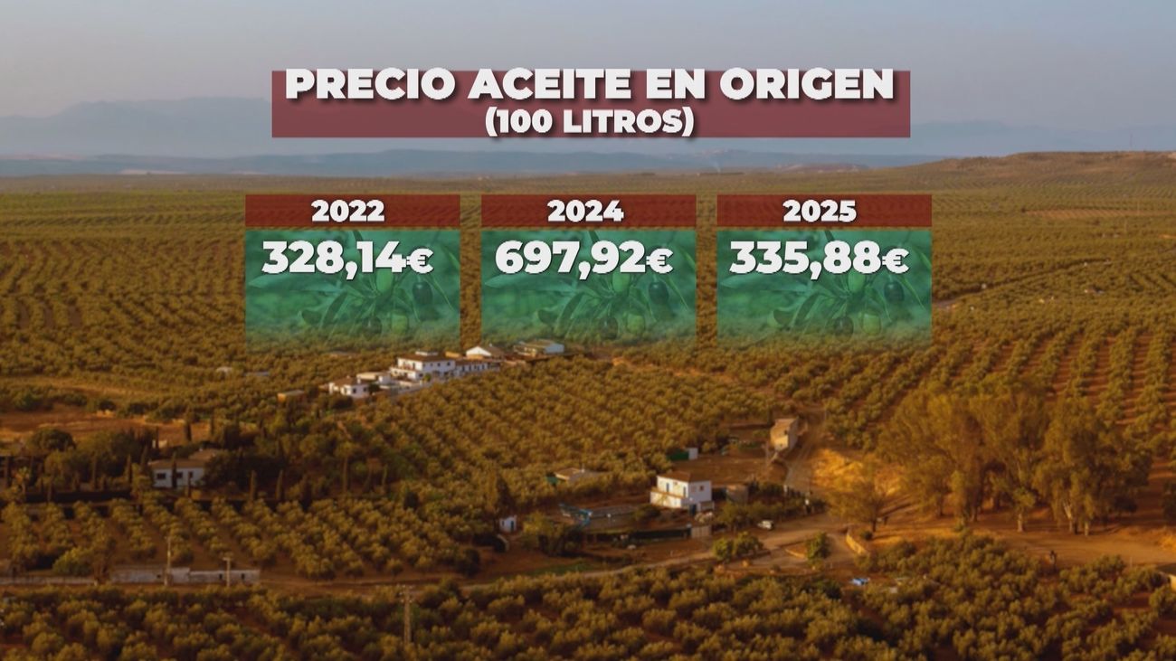 Las lluvias de los últimos meses hacen caer el precio del aceite de oliva en el supermercado