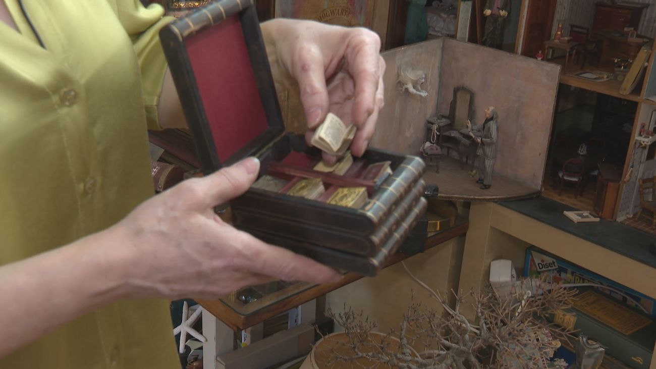 La biblioteca de Liliput está en una buhardilla de Aravaca