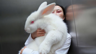 Madrid se transforma en un laboratorio de arte digital con MMMAD Festival