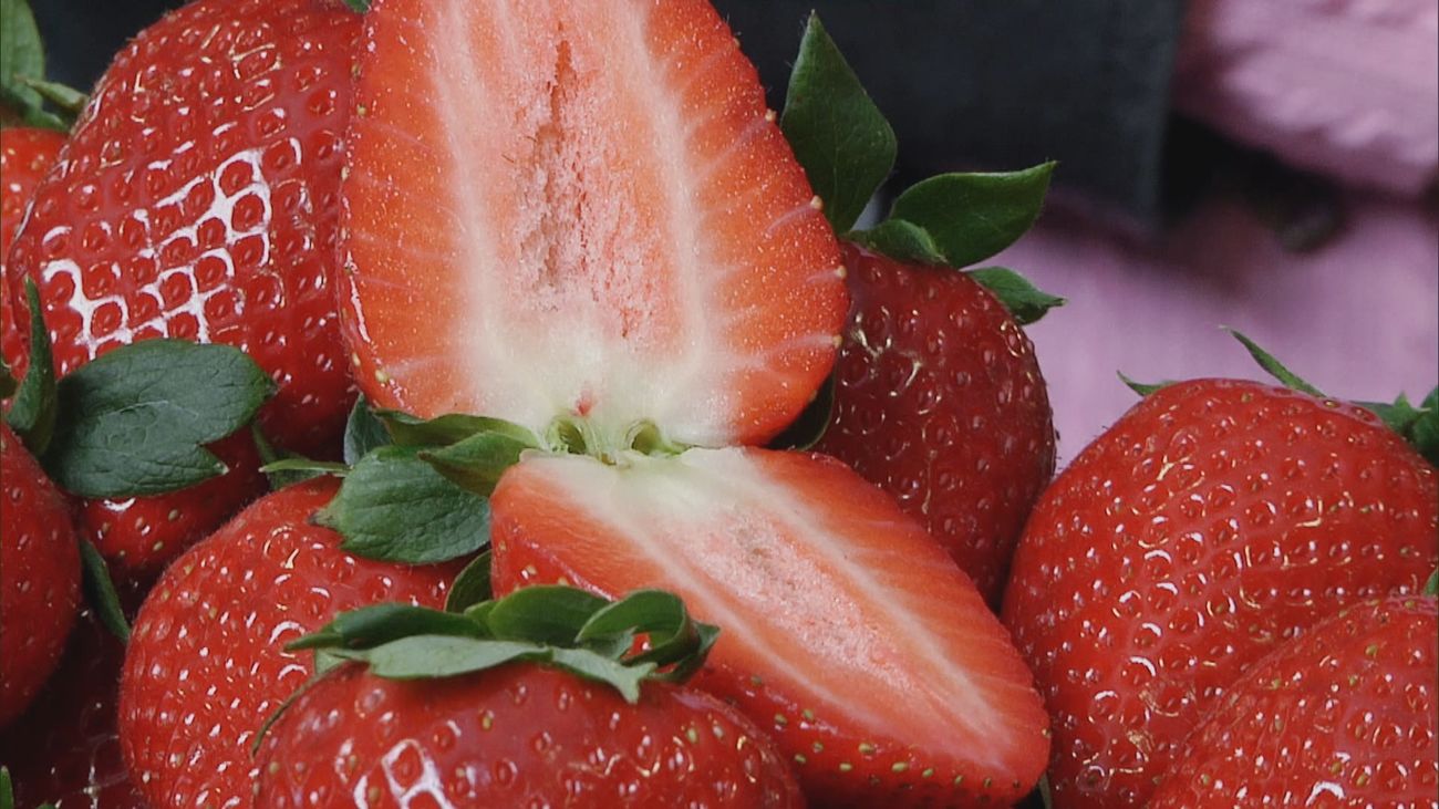 Madrid mejora tu vida 11.05.2025