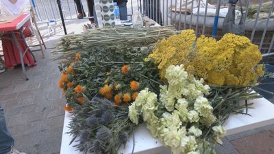 Nos movemos hasta la Plazuela de Santiago para participar en un taller de ramilletes por San Isidro