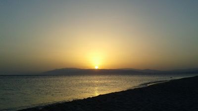 Todo brilla (tú también) hasta que se acaba la vida