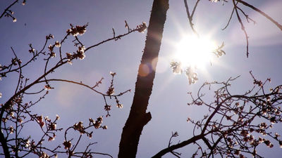 El tiempo en Madrid para este viernes: cielos despejados y subida de temperaturas