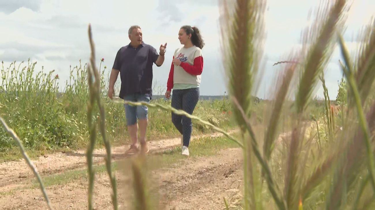 Los agricultores madrileños, preocupados por el relevo generacional, piden ayuda a San Isidro
