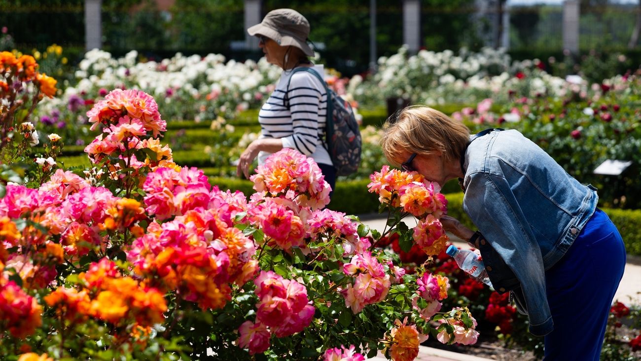 El Parque del Oeste desprende aroma a rosas