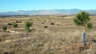 Arrancan las obras para transformar el antiguo vertedero de Alcobendas en un parque forestal