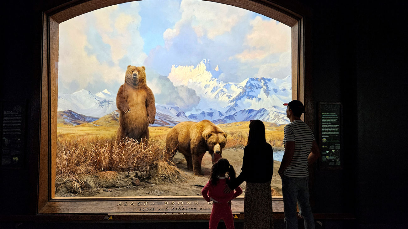 El Enfoque de Ida y Vuelta 66 - Donde nos lleve la cultura