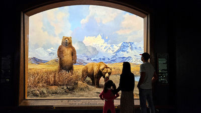 El Enfoque de Ida y Vuelta 66 - Donde nos lleve la cultura