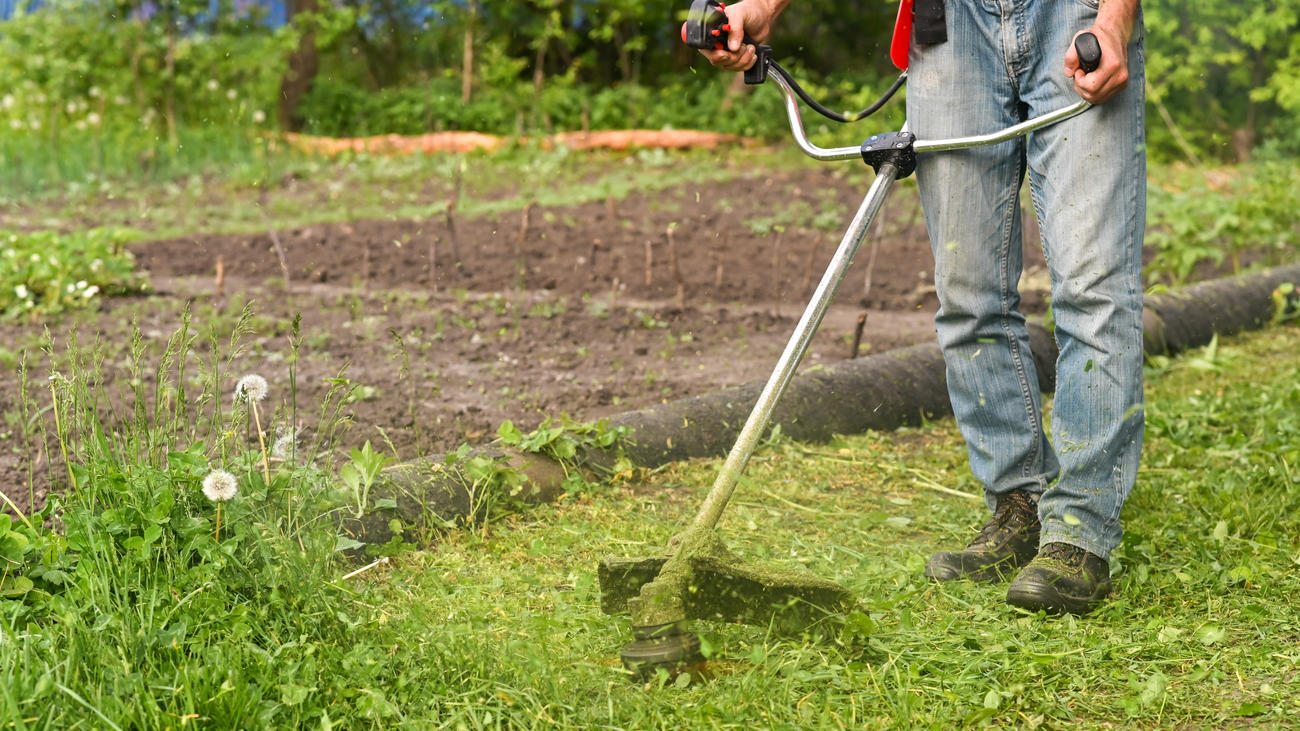 Aprendemos cómo se crean cortafuegos en la Dehesa de Majadahonda