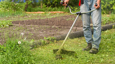 Aprendemos cómo se crean cortafuegos en la Dehesa de Majadahonda
