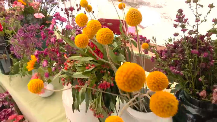 Feria de flores en Torrelodones / Redacción