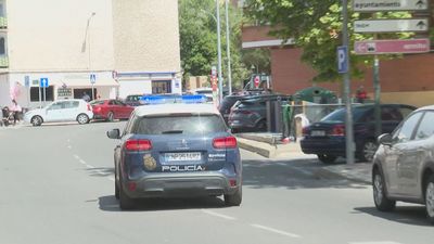 16 jóvenes detenidos en una pelea multitudinaria en Parla