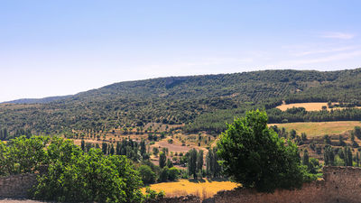 Comarca de Las Vegas y Alcarria Madrileña, una naturaleza para descubrir
