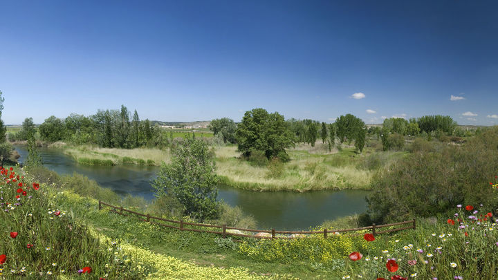 El río Jarama a su paso por la Comarca de Las Vegas y Alcarria Madrileña