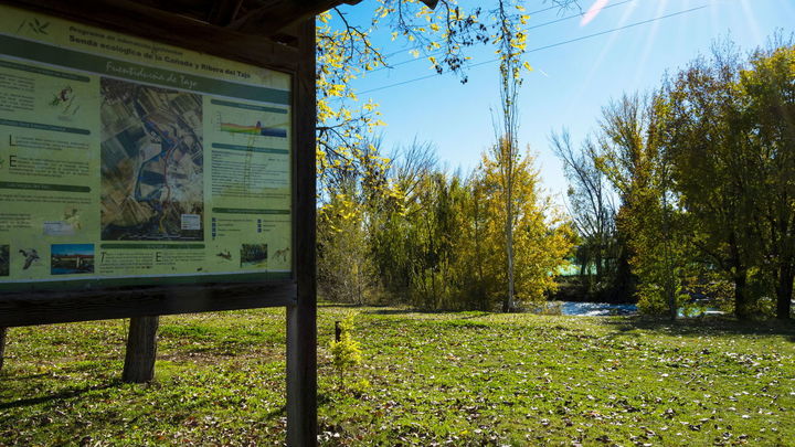 Panel en la Senda Ecológica de Fuentidueña de Tajo / ARACOVE / COMUNIDAD DE MADRID