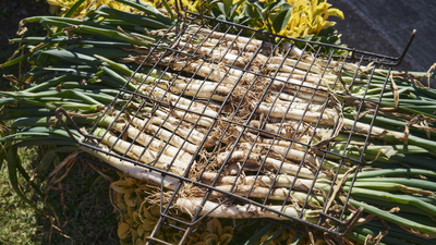 Collado Villalba celebra el Festival del Calçot fuera de temporada
