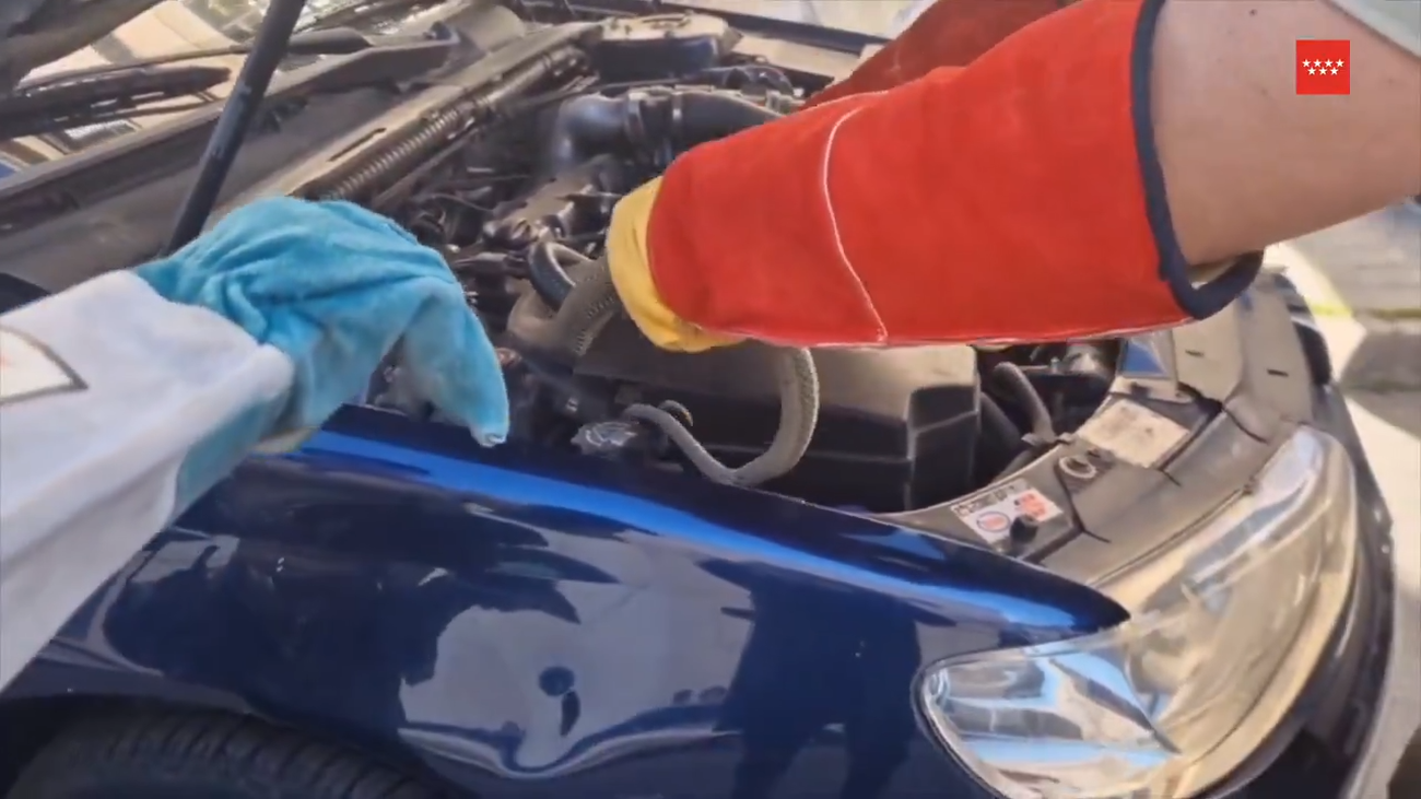 Rescatan a una culebra bastarda escondida en el motor de un coche en Villarejo de Salvanés