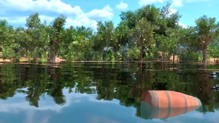 Que va llena / Redacción