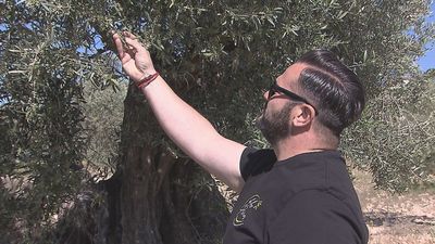 Del asfalto al campo: un centenar de jóvenes madrileños deciden hacerse agricultores