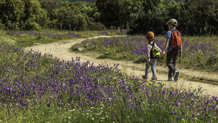 Turismo familiar en la Sierra Oeste: de la jungla al espacio sin salir de Madrid