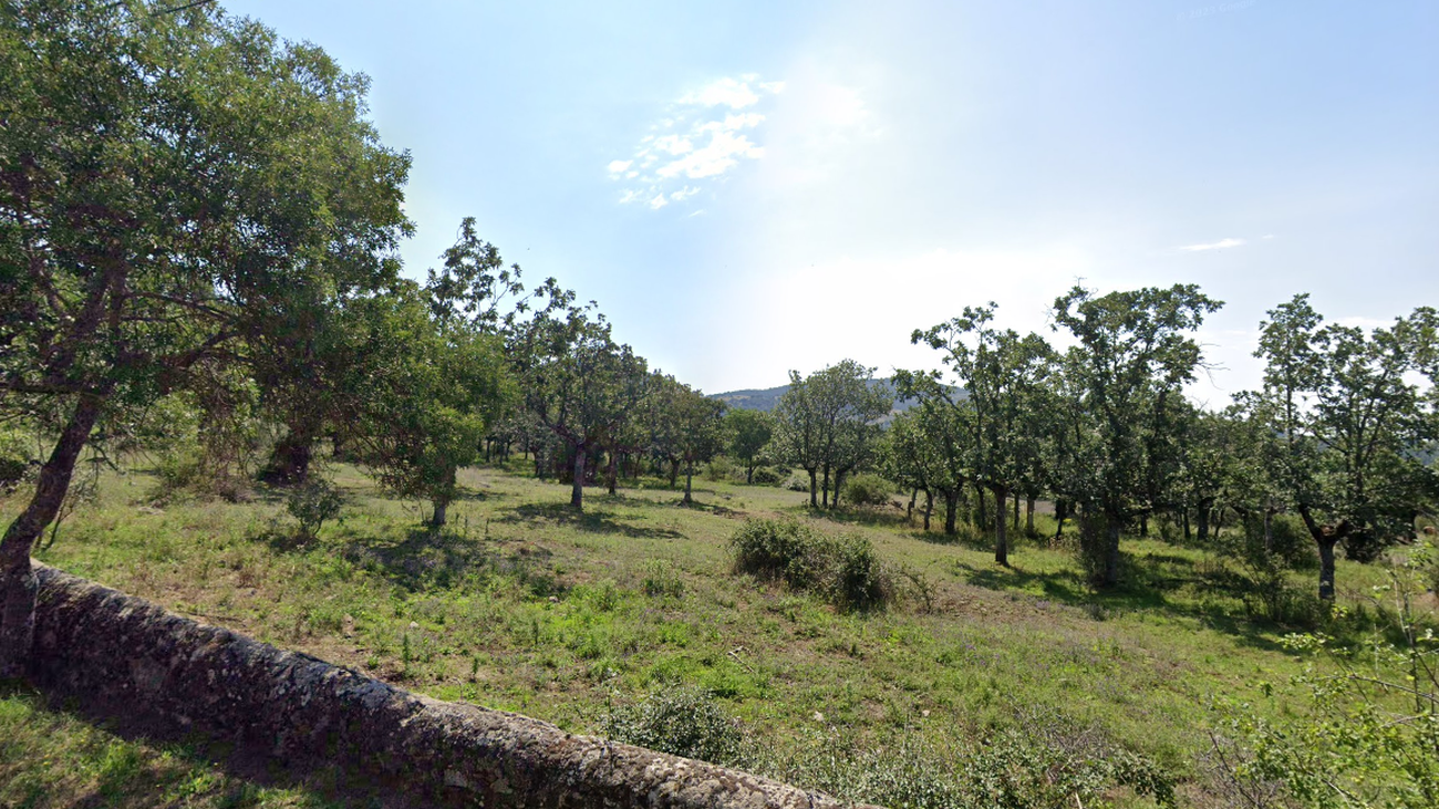 Polémica por el proyecto de 36 chalets en una dehesa de Cercedilla