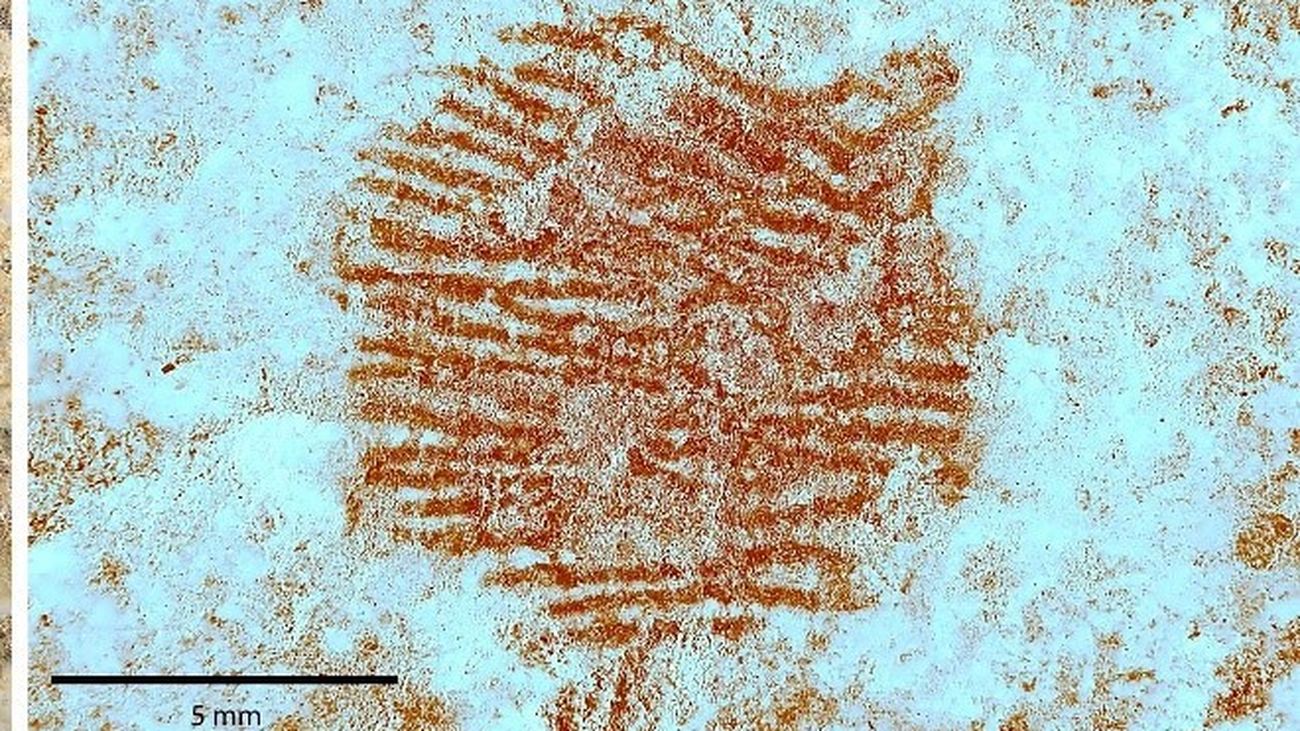 Los CSI de la arqueología hallan en España la huella dactilar más antigua del mundo
