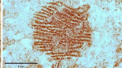 Los CSI de la arqueología hallan en España la huella dactilar más antigua del mundo