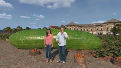 Disfruta la primavera 25.05.2025