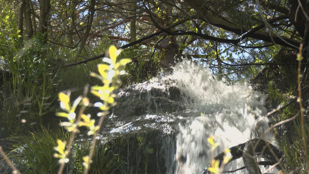 ¡Nos mojamos! Las mejores piscinas naturales de Madrid están en la Presilla de Canencia en Guadarrama