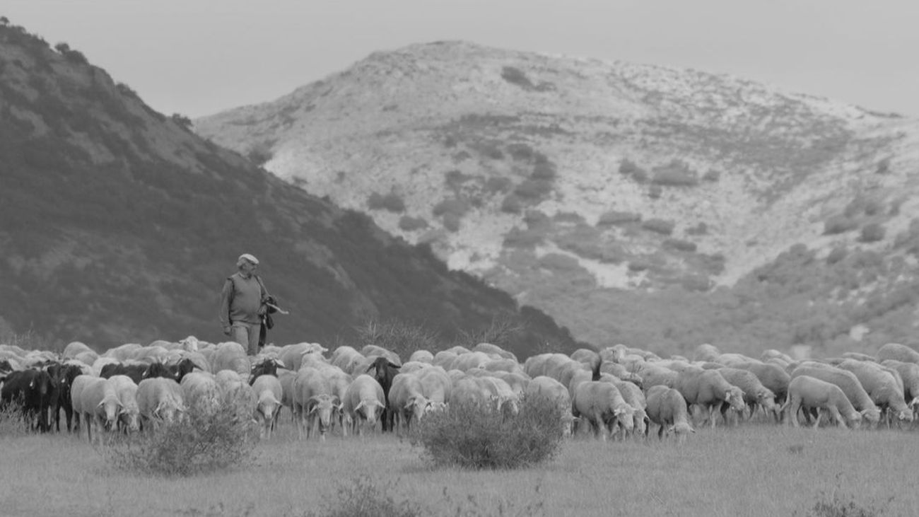 Jornada de tradiciones en Braojos al son de dulzainas, con vermú y costillas con patatas