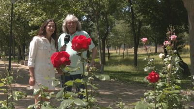 El cantaor José Mercé rinde homenaje a Manuel Alejandro en el Nuevo Teatro Alcalá