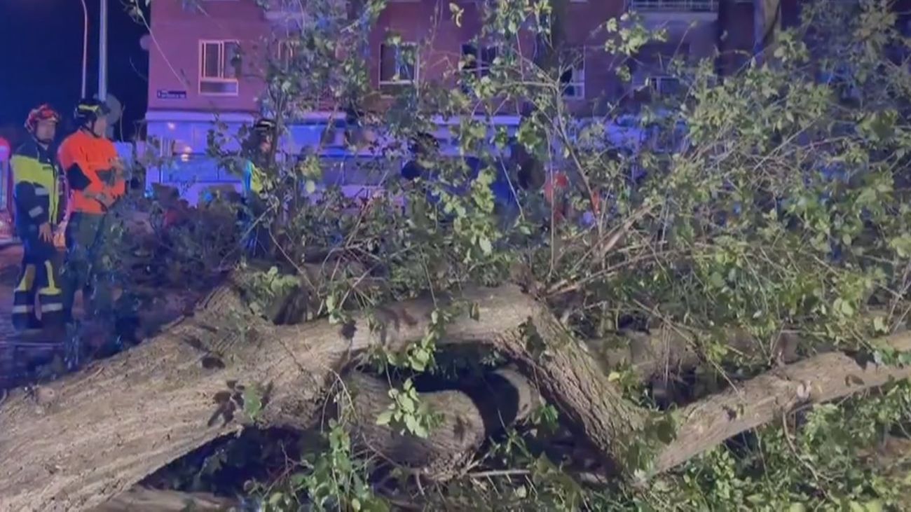 Un joven, en estado crítico tras caer la rama de un árbol sobre un banco en Carabanchel