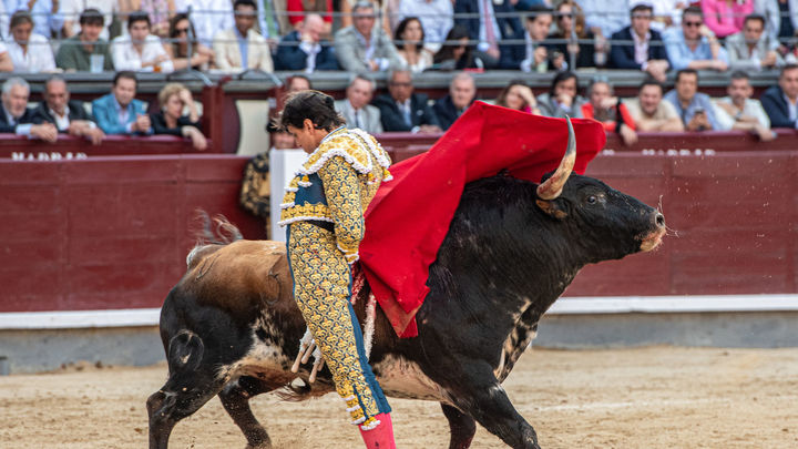Telemadrid firma el mejor mayo en 13 años (Roca Rey, en San isidro)