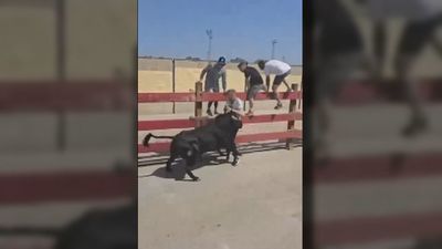 Permanece ingresado el corredor herido grave en un encierro de San Fernando de Henares